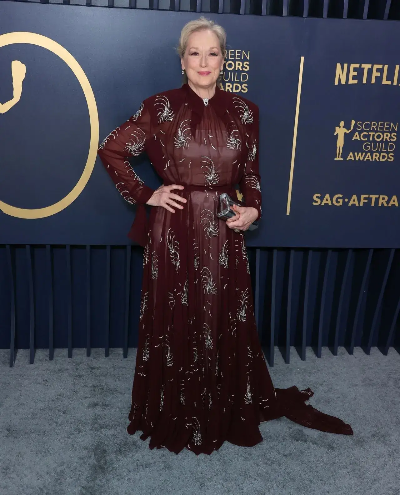 MERYL STREEP STILLS AT SCREEN ACTORS GUILD AWARDS 2024 IN LOS ANGELES 2